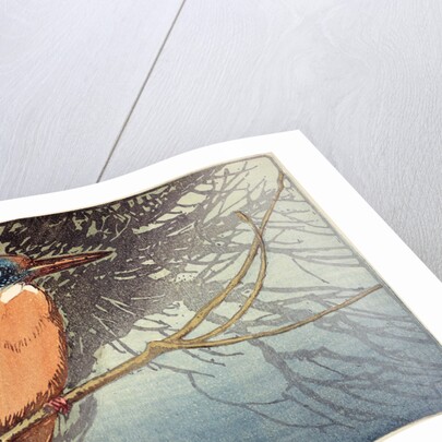 Kingfisher (no. I) by Allen William Seaby